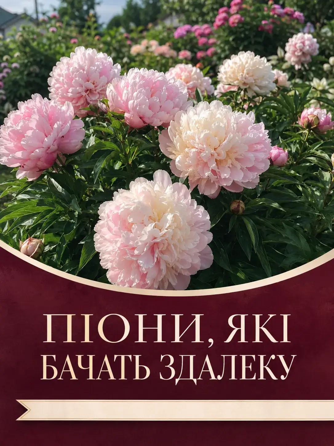 Реклама